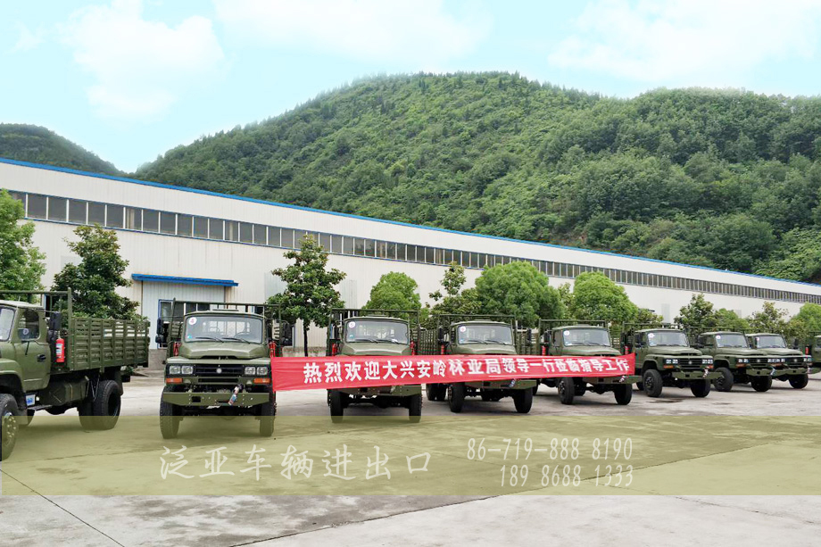 <strong>我司針對(duì)客戶要求對(duì)成熟車型再改進(jìn)獲得高度好評(píng)</strong>