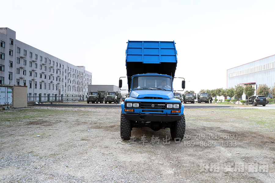 <strong>怎么選購東風(fēng)6X6六驅(qū)EQ2100自卸越野車，在選購和提車時應(yīng)該注意什么問題</strong>
