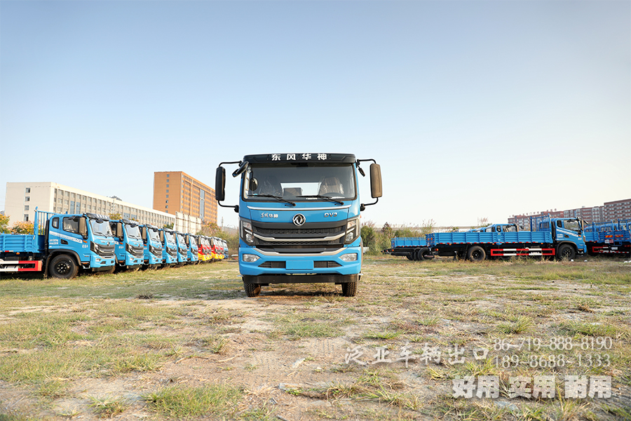 東風(fēng)平頭卡車底盤,東風(fēng)教練車底盤,東風(fēng)牽引車底盤,東風(fēng)4X2教練車底盤,東風(fēng)駕證考試車底盤,A2駕證考試車底盤,教練車,平頭一排半底盤,DV3尊享版底盤
