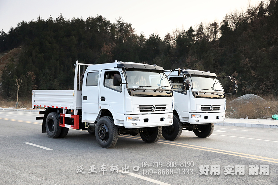 右舵卡車,雙排卡車,出口專用車定制,4*4右駕貨車,越野卡車,全驅(qū)車出口