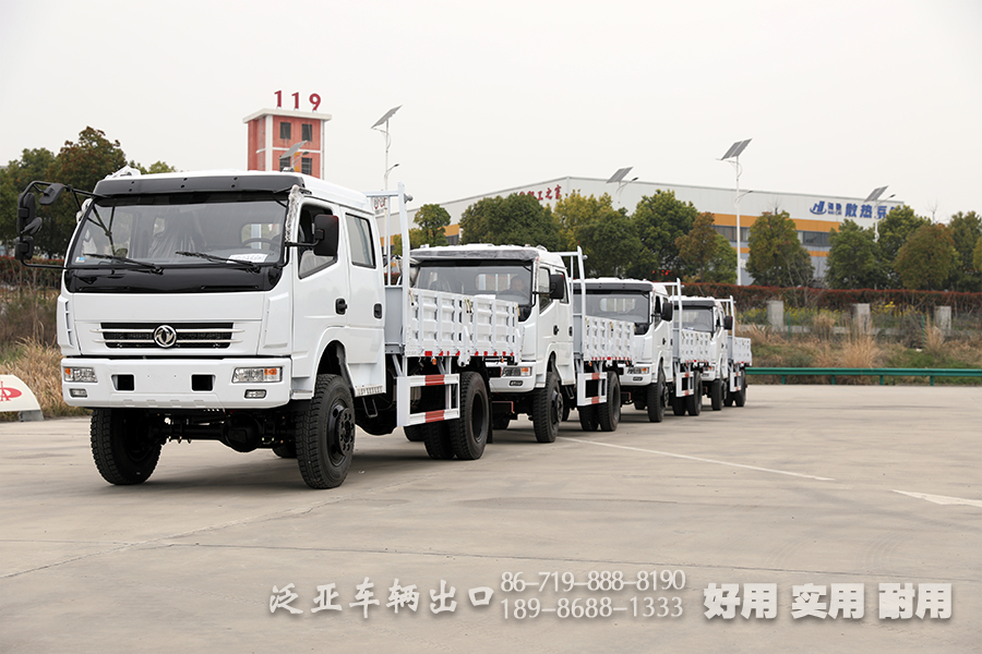 4*4東風(fēng)卡車,輕型卡車,越野卡車,東風(fēng)雙排卡車,3噸小型卡車,貨箱4.2米