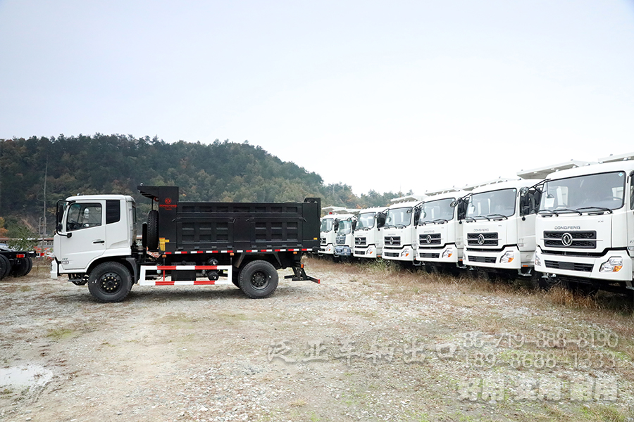 東風(fēng)4*2卡車,天錦自卸車,東風(fēng)天錦報(bào)價(jià),載重5噸自卸車,160馬力自卸車,DFL3120B