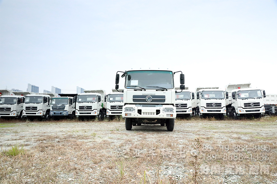 東風(fēng)4*2卡車,天錦自卸車,東風(fēng)天錦報(bào)價(jià),載重5噸自卸車,160馬力自卸車,DFL3120B
