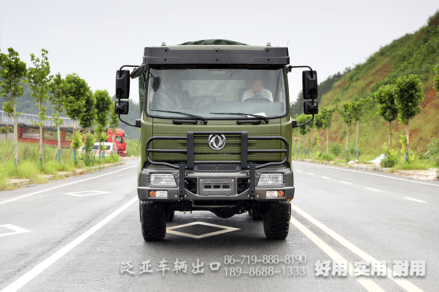 東風(fēng)全驅(qū),越野運輸車,全驅(qū)越野運輸卡車,升級款貨車,六驅(qū)載貨車,東風(fēng)六驅(qū),六驅(qū)卡車,260馬力貨車,平頭貨車定制