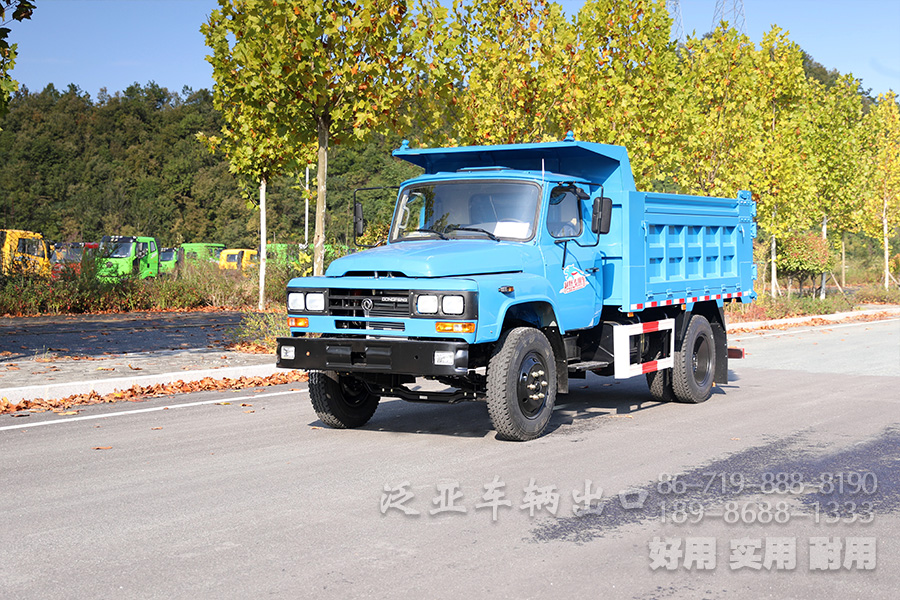  東風(fēng)4X2輕型運輸車_東風(fēng)尖頭微型卡車__出口專用小型商用貨車