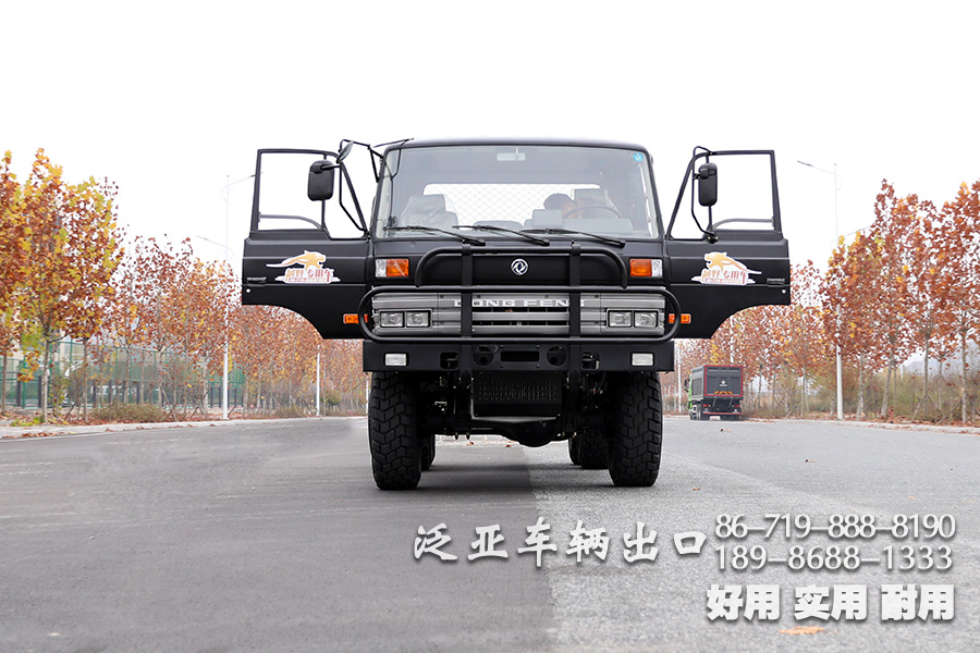 東風(fēng)六驅(qū)一排半駕駛室,EQ2102N,越野底盤,專用車底盤,東風(fēng)6*6,東風(fēng)平頭底盤,153雙排駕駛室,軍車底盤,153雙排底盤