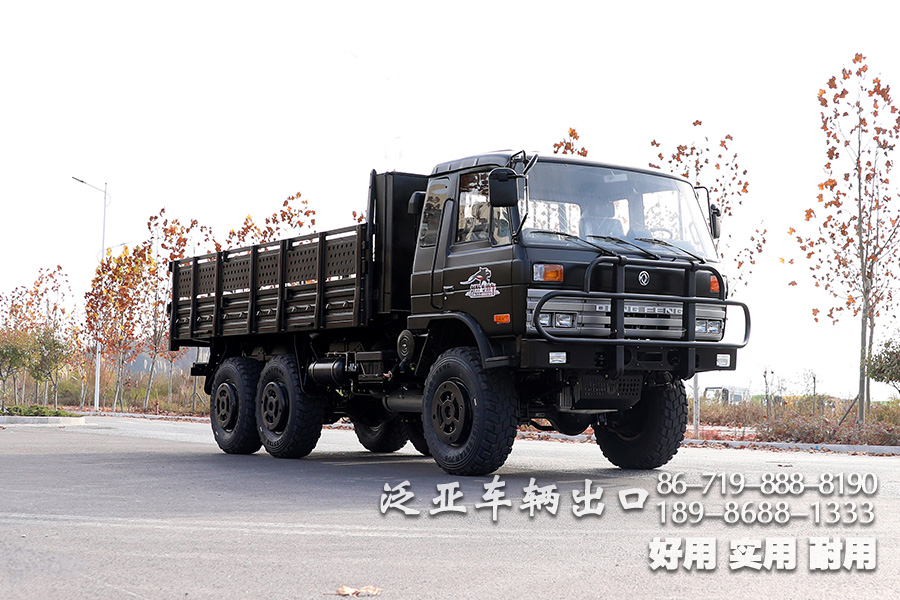東風(fēng)六驅(qū)一排半駕駛室,EQ2102N,越野底盤,專用車底盤,東風(fēng)6*6,東風(fēng)平頭底盤,153雙排駕駛室,軍車底盤,153雙排底盤