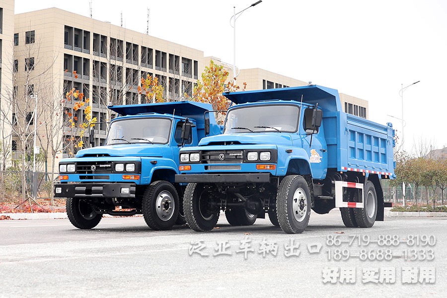 <strong>來看看兩款自卸車的對比展示</strong>