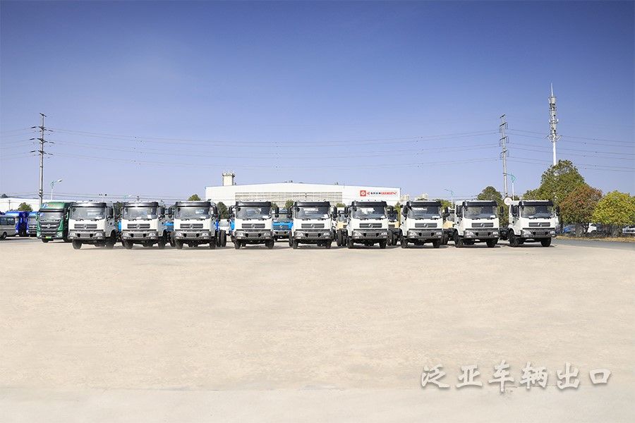 <strong>東風(fēng)4x2平頭越野載貨車大場(chǎng)景底盤批量展示</strong>